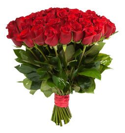 Букет Красных роз «Триумф»